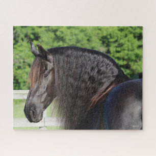 Puzzle Bob Langrish Capture d'écran Friesian Horse Sta
