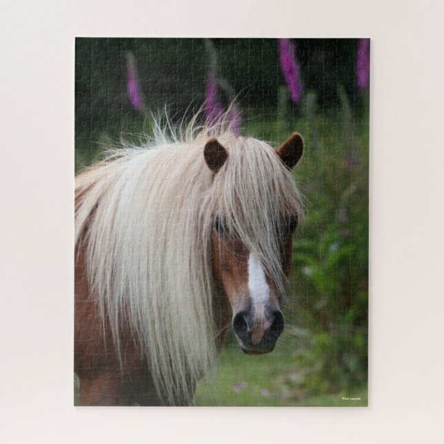 Puzzle Bob Langrish | Capture d'écran Shetland Pony avec  (Vertical)