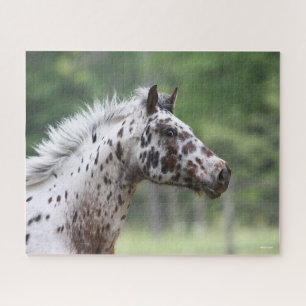 Puzzle Bob Langrish   Capture d'écran Spotty Knapstruppe