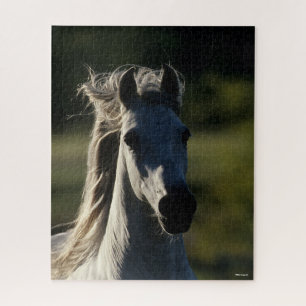 Puzzle Bob Langrish   Casque Andalou gris rétroéclairé