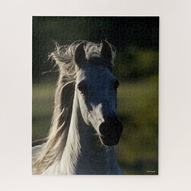 Puzzle Bob Langrish | Casque Andalou gris rétroéclairé (Vertical)