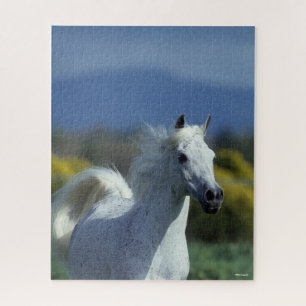 Puzzle Bob Langrish   Casque arabe gris