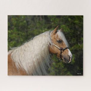 Puzzle Bob Langrish   Casque de Cheval Palomino Quarter