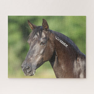 Puzzle Bob Langrish   Casque espagnol Mustang Mare
