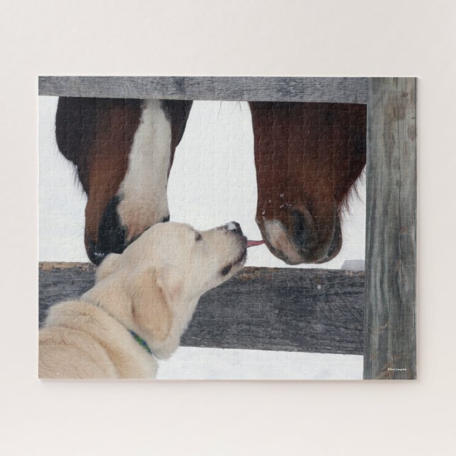 Puzzle Bob Langrish | Cheval de chien qui lèche le nez (Horizontal)