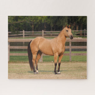 Puzzle Bob Langrish   Cheval de quart en peau de seau deb