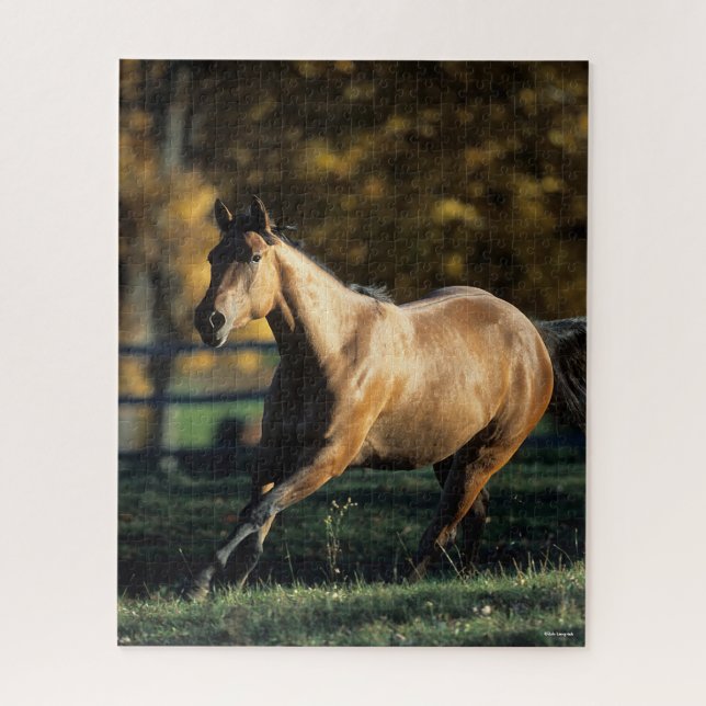 Puzzle Bob Langrish | Cheval Dun Quarter Courir (Vertical)