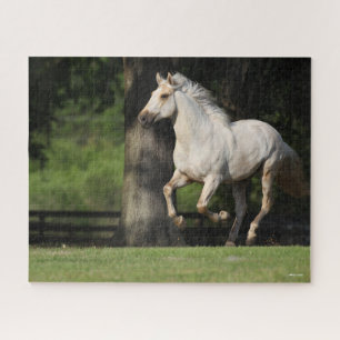 Puzzle Bob Langrish Cheval Lusitano Courir
