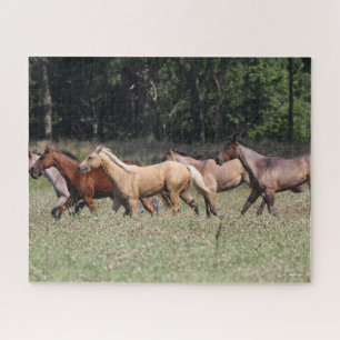 Puzzle Bob Langrish Chevaux du quartier des troupeaux m