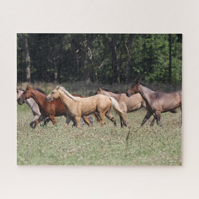 Puzzle Bob Langrish | Chevaux du quartier des troupeaux m (Horizontal)
