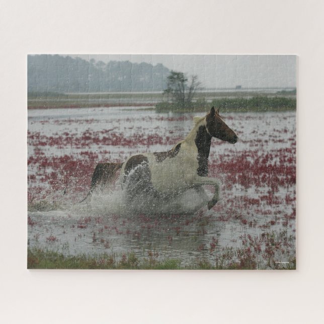 Puzzle Bob Langrish | Chincoteague Cheval Courir Dans L'E (Horizontal)