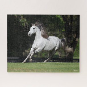 Puzzle Bob Langrish Dapple Grey Andalucian Running