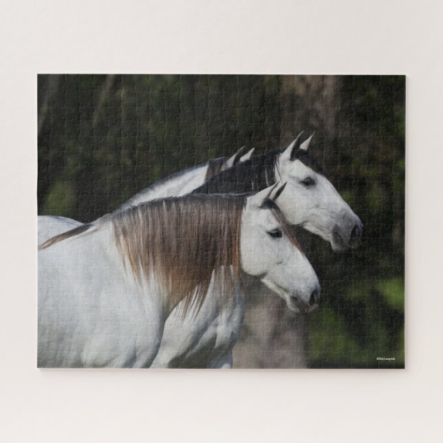 Puzzle Bob Langrish | Deux Andalous Ensemble (Horizontal)