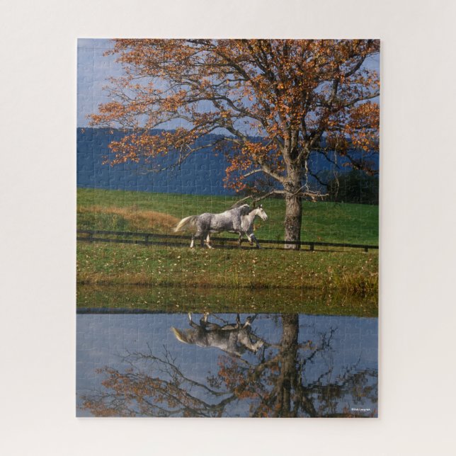 Puzzle Bob Langrish | Deux Bois Chauds Ensemble Par Lac (Vertical)