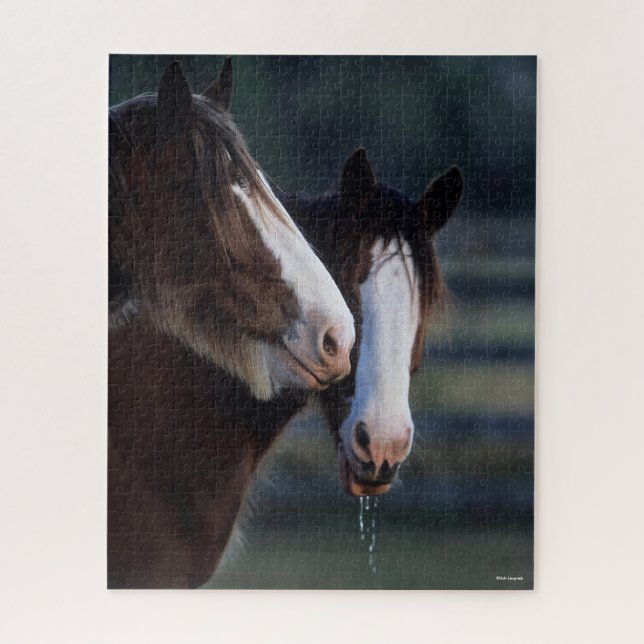 Puzzle Bob Langrish | Deux chevaux Clydesdale (Vertical)