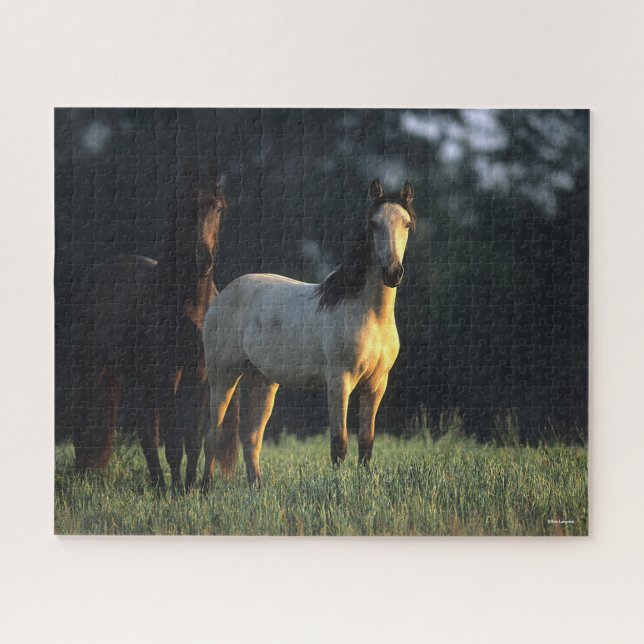 Puzzle Bob Langrish | Deux Mustangs Kiger debout (Horizontal)