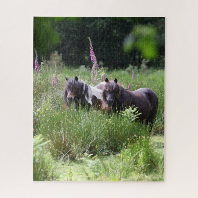 Puzzle Bob Langrish Deux poneys Shetland se rassemblent (Vertical)