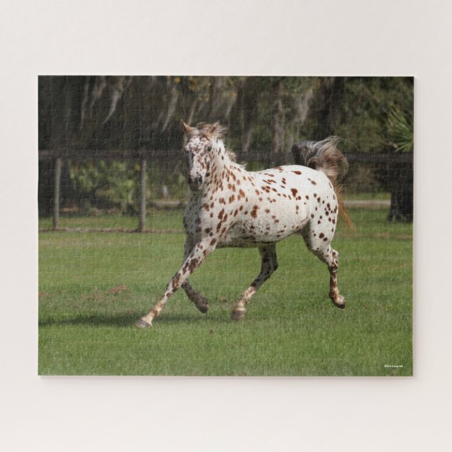 Puzzle Bob Langrish | Exécution d'Appaloosa (Horizontal)