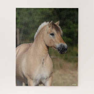 Puzzle Bob Langrish Fjord Horse debout Capot