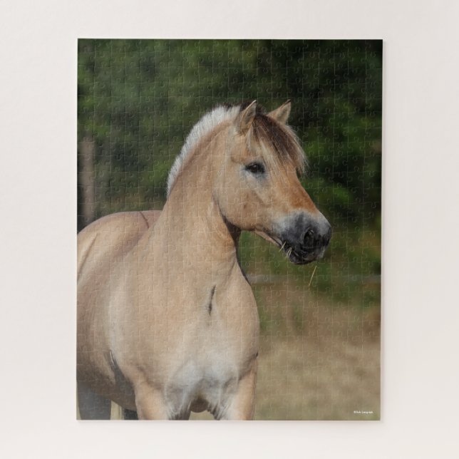 Puzzle Bob Langrish | Fjord Horse debout Capot (Vertical)