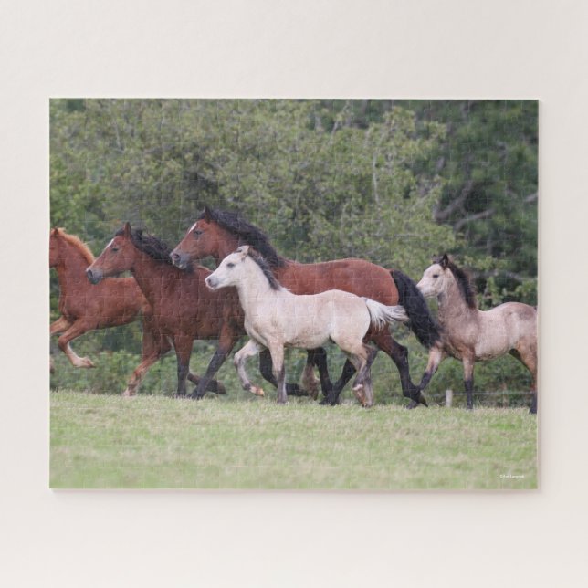 Puzzle Bob Langrish Gallois ponies courir des mares et de (Horizontal)