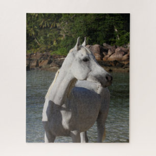 Puzzle Bob Langrish   Gray Arab Standng dans la mer