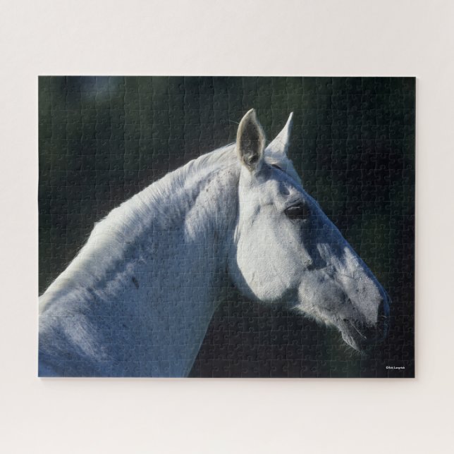 Puzzle Bob Langrish | Gray Warmblood Standing Headshot (Horizontal)