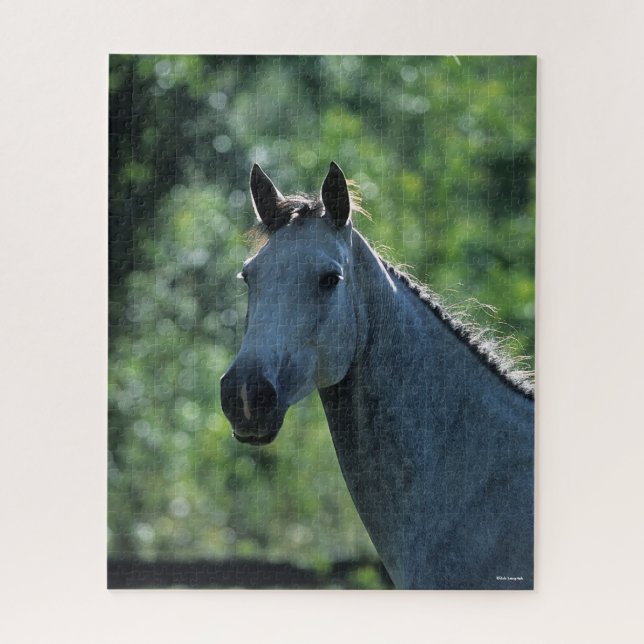 Puzzle Bob Langrish Greish Dutch Warmblood Headshot rétro (Vertical)