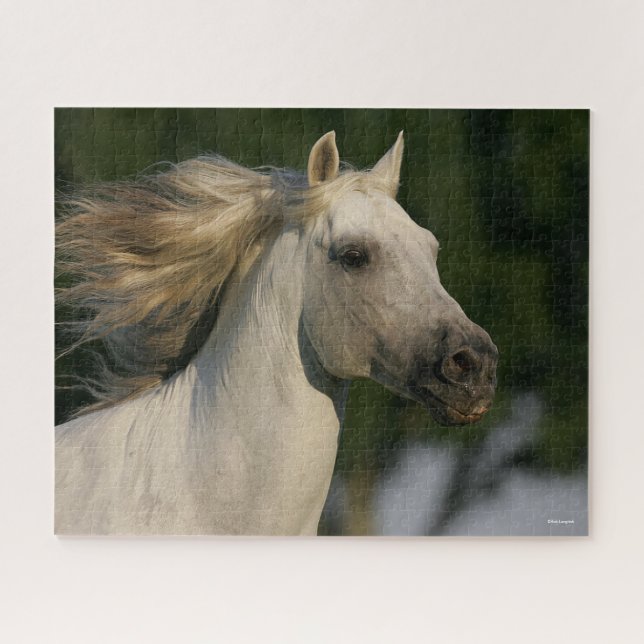 Puzzle Bob Langrish Grey Andalucian Headshot Mane Flowing (Horizontal)