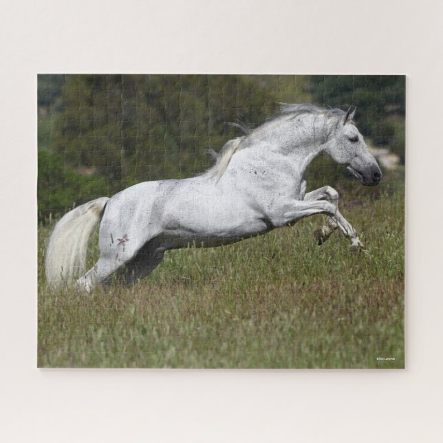 Puzzle Bob Langrish Grey Andalucian Leaping Through Grass (Horizontal)
