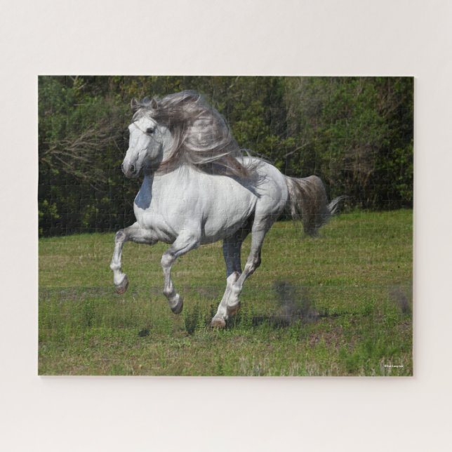 Puzzle Bob Langrish | Grey Andalucian Stallion Running (Horizontal)