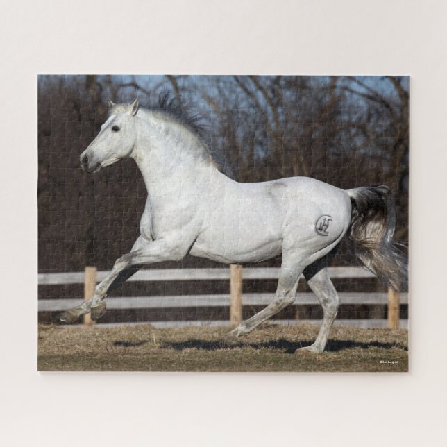 Puzzle Bob Langrish | Grey Andalucian Stallion Running (Horizontal)