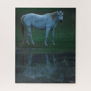 Puzzle Bob Langrish Grey Arab Standing By Pond Reflet