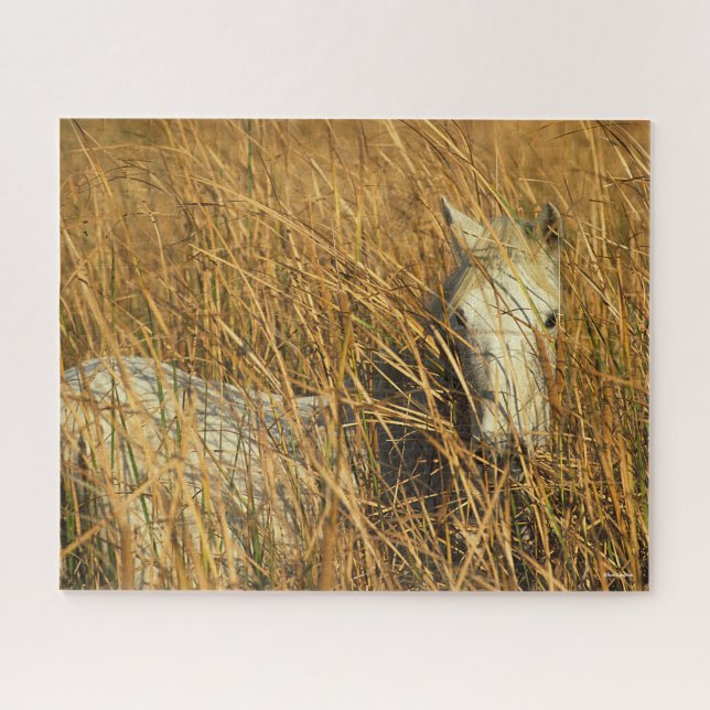 Puzzle Bob Langrish | Grey Camargue Pony Mensonge Dans Le (Horizontal)