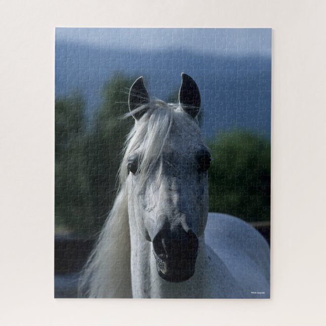 Puzzle Bob Langrish Grey Stallion arabe debout (Vertical)