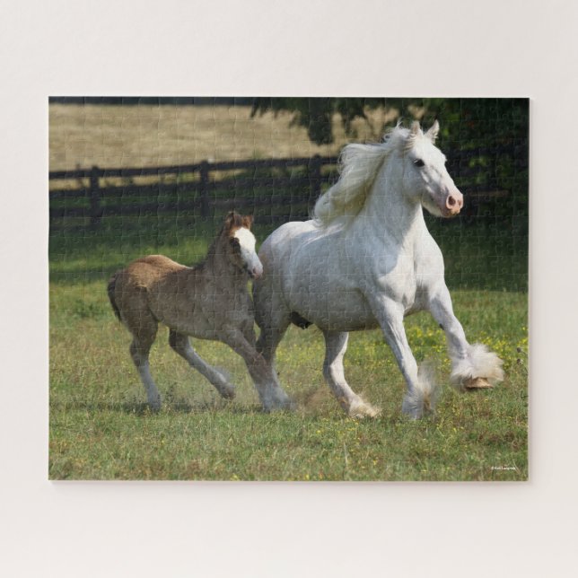 Puzzle Bob Langrish | Gypsy Vanner Horse Mare & Foie (Horizontal)