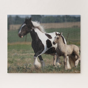 Puzzle Bob Langrish   Gypsy Vanner Mare et Foal Running