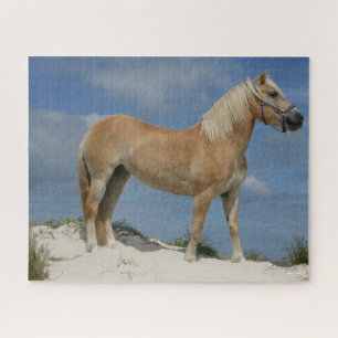 Puzzle Bob Langrish Haflinger Debout Sur La Plage
