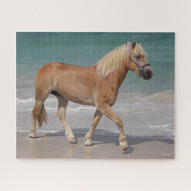 Puzzle Bob Langrish | Haflinger Marcher Sur La Plage (Horizontal)