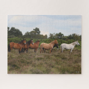Puzzle Bob Langrish Herd New Forest Poney debout