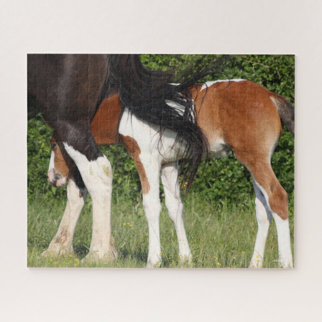 Puzzle Bob Langrish | Irish Sport Horse Foin Cachage (Horizontal)