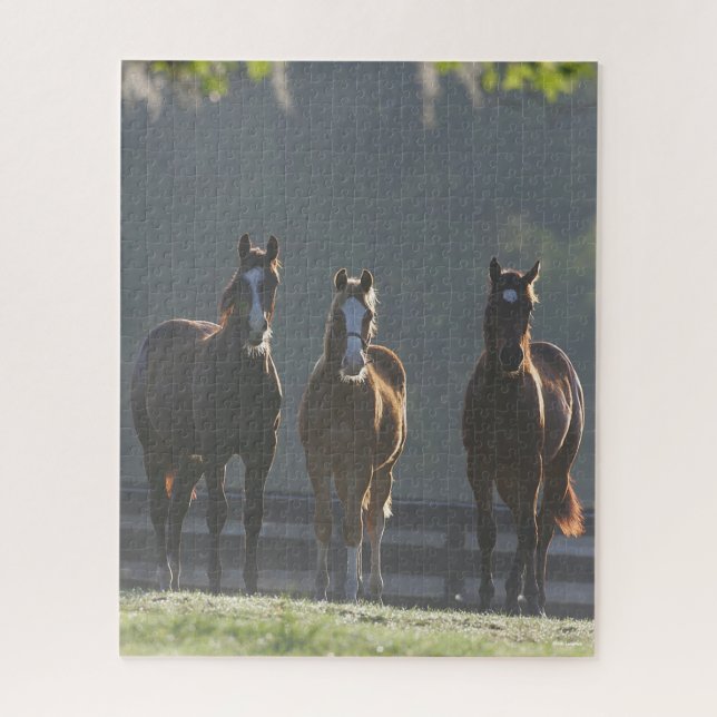 Puzzle Bob Langrish | Jeunes Chevaux Trois Quart (Vertical)