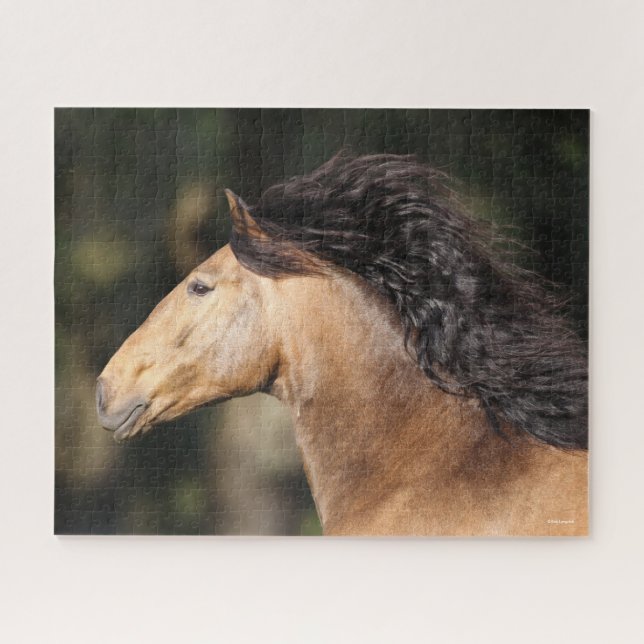 Puzzle Bob Langrish | Lusitano Capture d'écran Mane Flow (Horizontal)