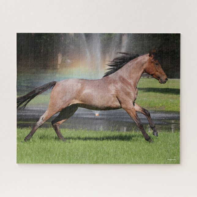 Puzzle Bob Langrish | Mangalarga Horse Running Rainbow (Horizontal)