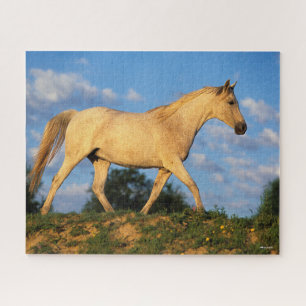 Puzzle Bob Langrish   Marche arabe grise