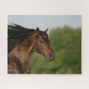 Puzzle Bob Langrish   Morgan Horse Capsule Flower Mane