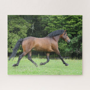 Puzzle Bob Langrish   Nouveau Stallion du ponton forestie