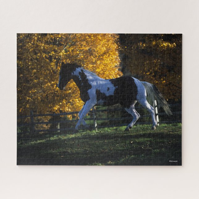 Puzzle Bob Langrish | Paint Horse Runn Automne (Horizontal)