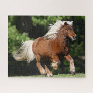 Puzzle Bob Langrish Palomino Miniature Pony Running