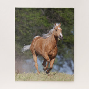 Puzzle Bob Langrish   Palomino Quarter Cheval Courir